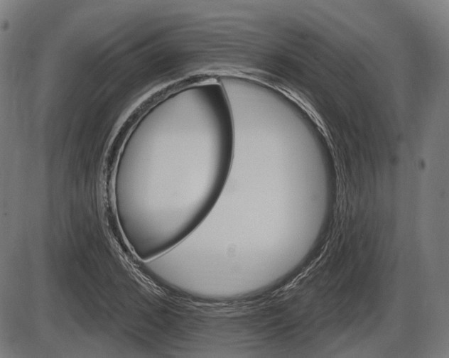 X0000086320976200703300901