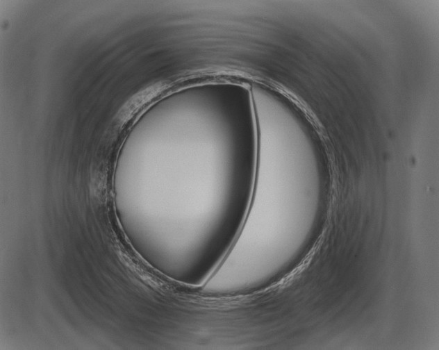X0000086320977200703300901