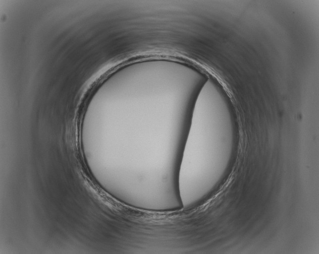 X0000086320982200703300901