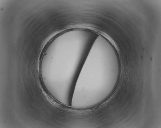 X0000086320988200703300900