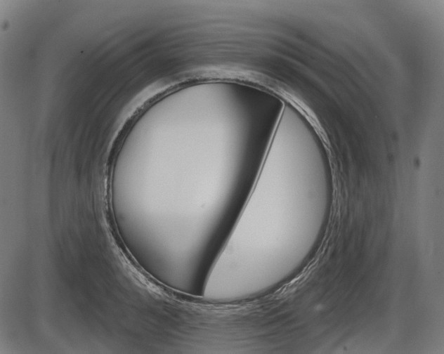 X0000086320992200703300900