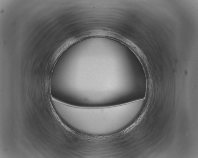 X0000086320993200703300900