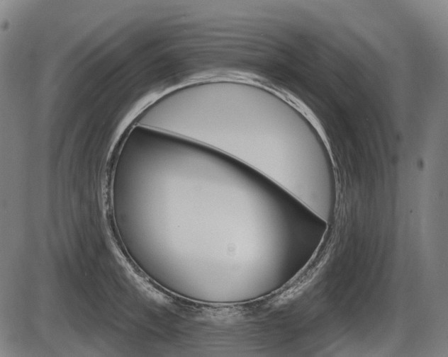 X0000086320997200703300900