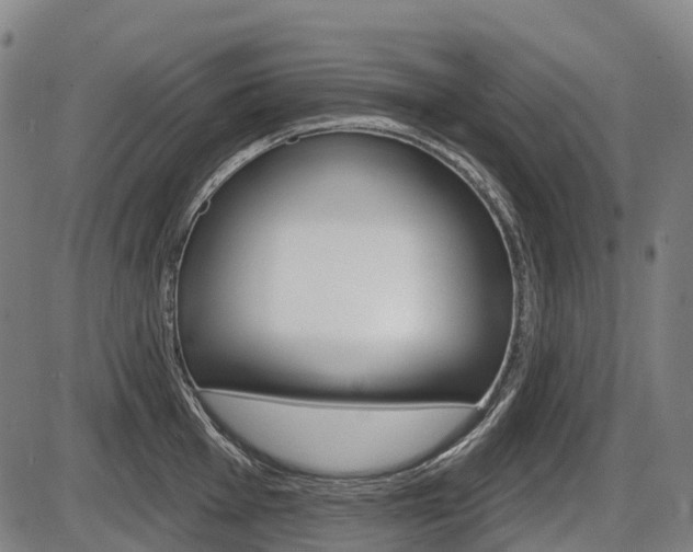X0000086321001200703300900