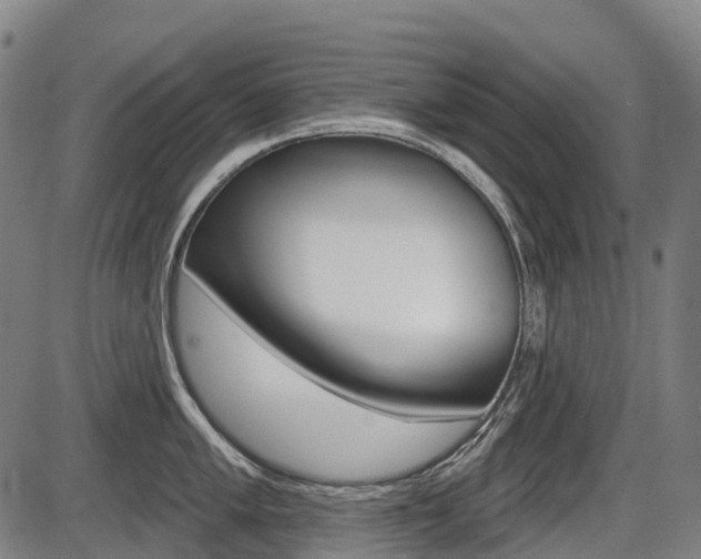 X0000086321005200703300900