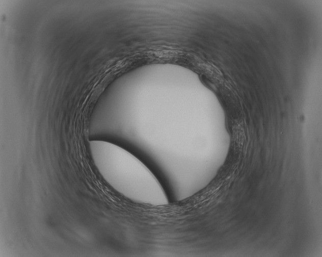 X0000086321009200703300859