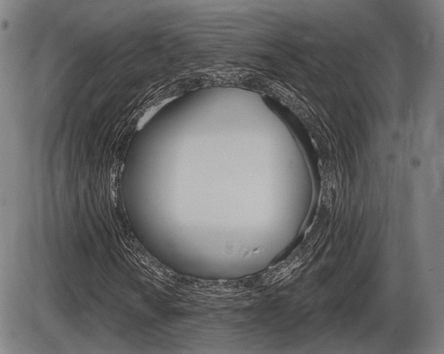 X0000086321010200703300859