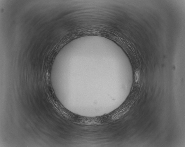 X0000086321011200703300859