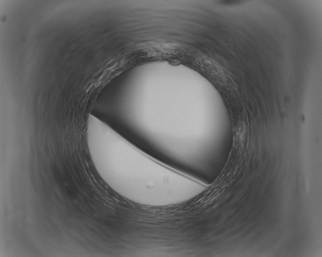 X0000086321012200703300859