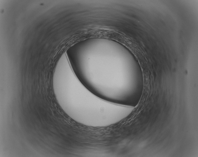 X0000086321013200703300859