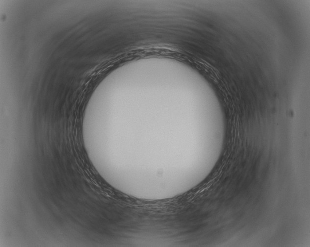 X0000086321014200703300859