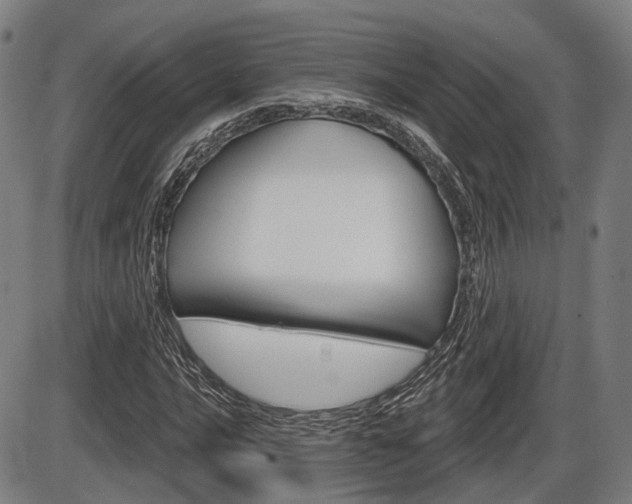 X0000086321016200703300859
