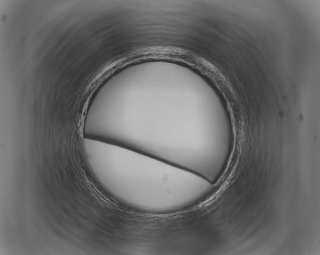 X0000086321017200703300859