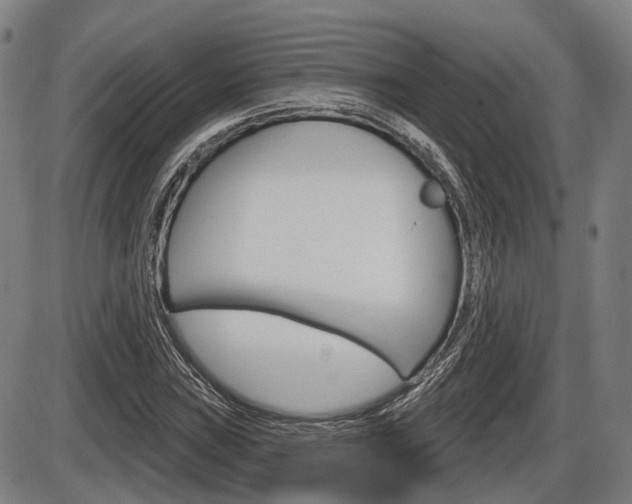 X0000086321019200703300859