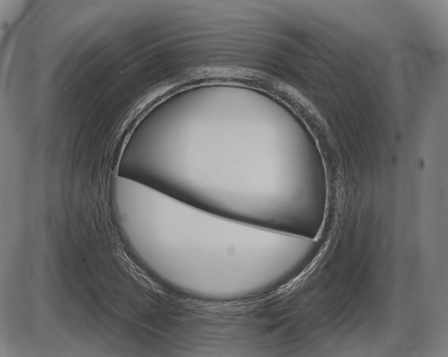 X0000086321025200703300900
