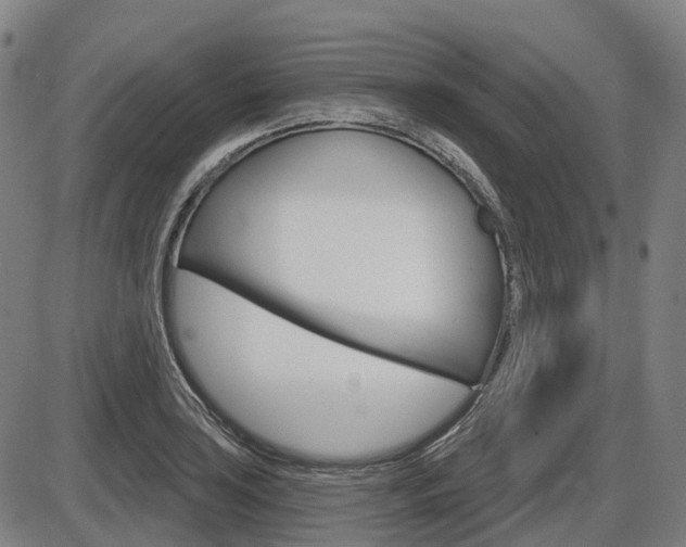 X0000086321035200703300900