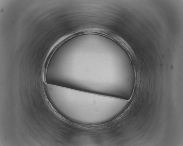X0000086321036200703300900