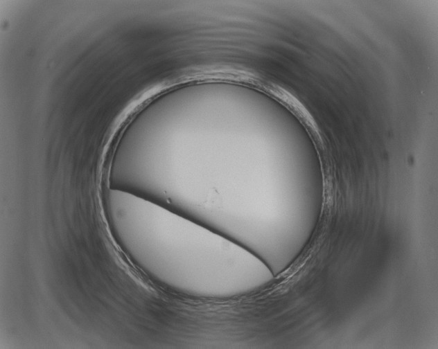 X0000086321043200703300900