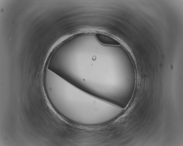 X0000086321045200703300900