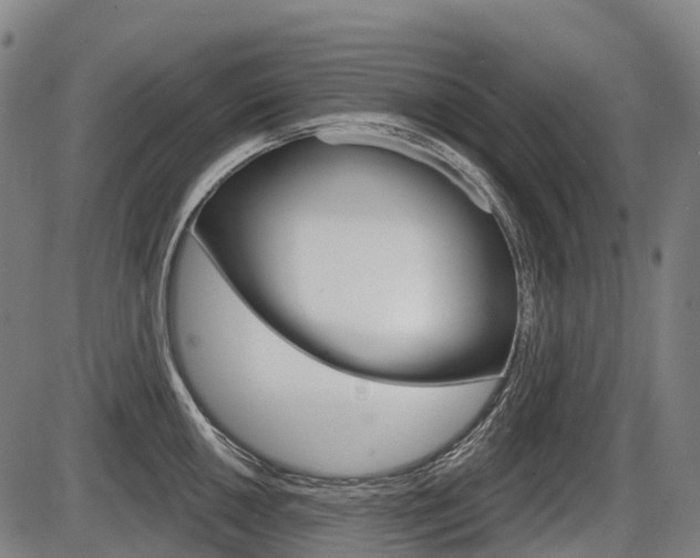 X0000086321050200703300900