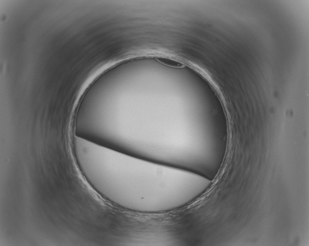 X0000086321056200703300900