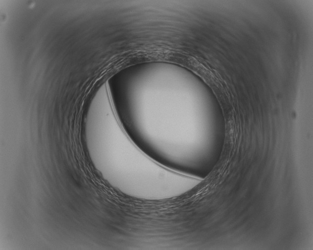 X0000086321057200703300859