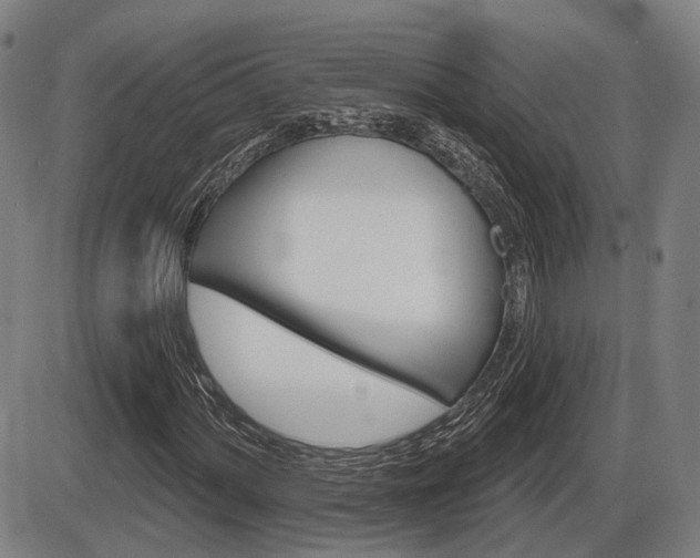 X0000086321060200703300859