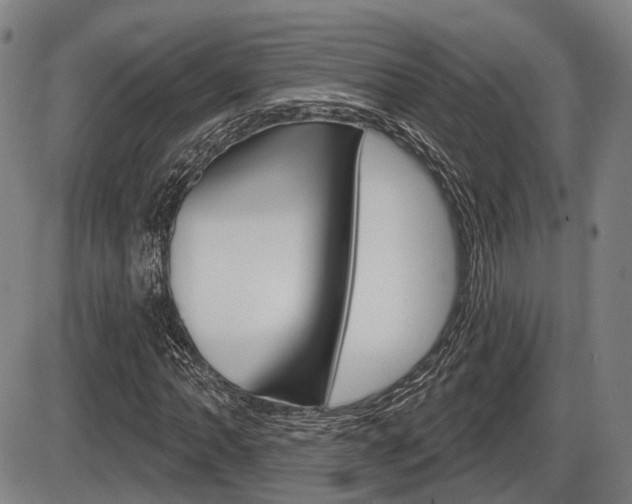 X0000086321062200703300859