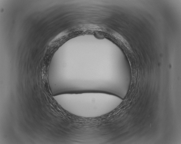 X0000086321063200703300859