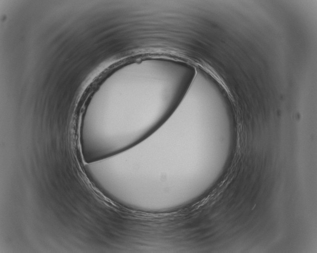 X0000086321068200703300859