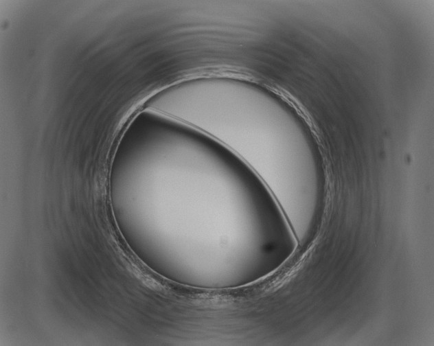X0000086321081200703300859