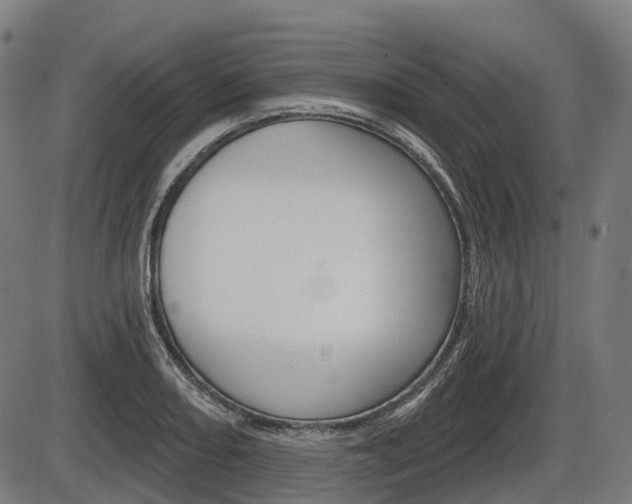 X0000086321082200703300859