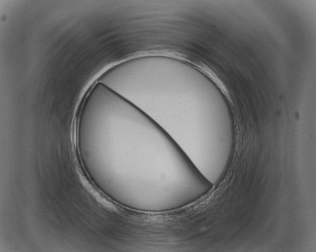 X0000086321084200703300859