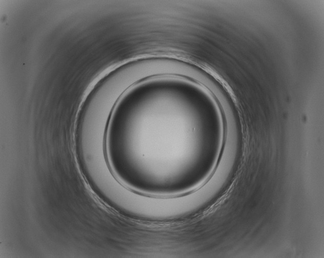 X0000086321085200703300859