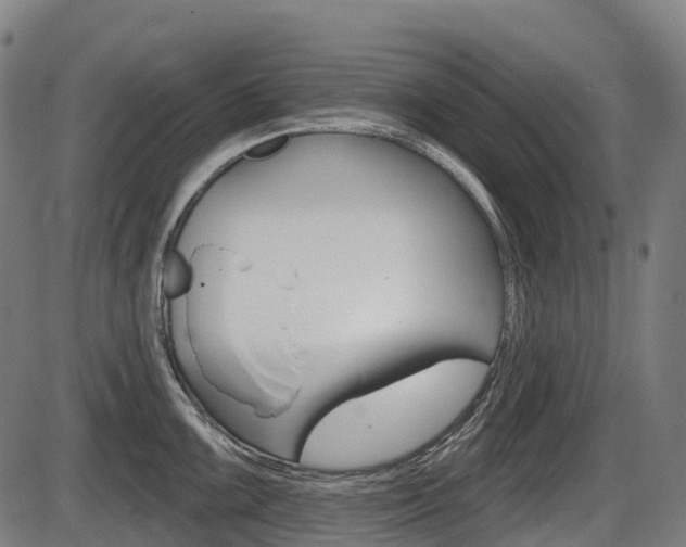X0000086321099200703300859