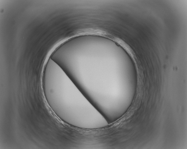 X0000086321104200703300858