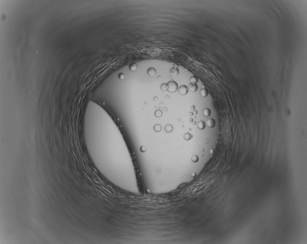 X0000086321105200703300858
