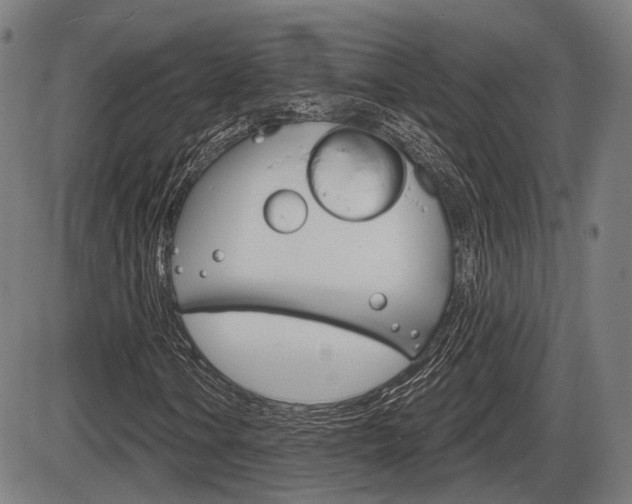 X0000086321106200703300858