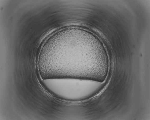 X0000086321113200703300858