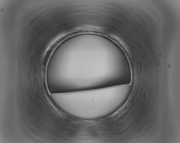 X0000086321115200703300858