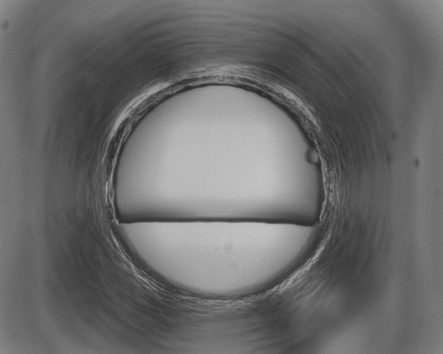 X0000086321117200703300858