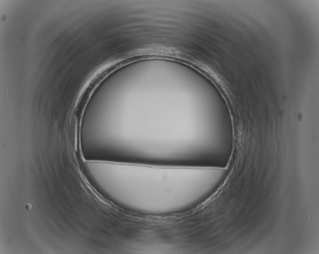 X0000086321123200703300858