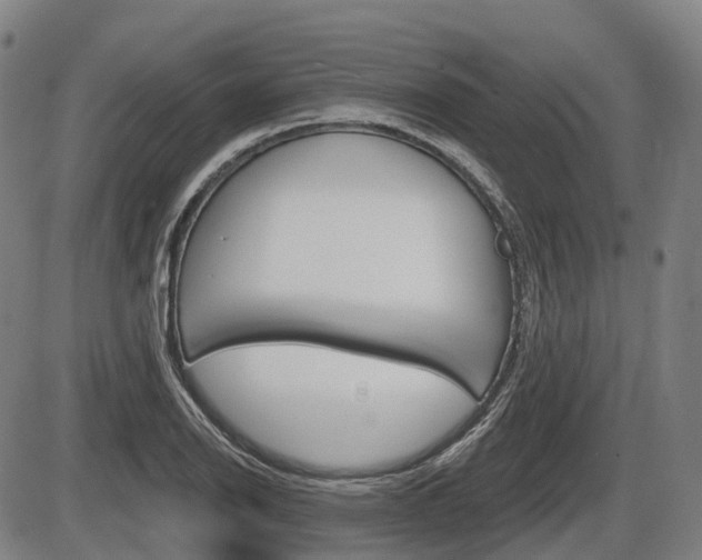 X0000086321126200703300858