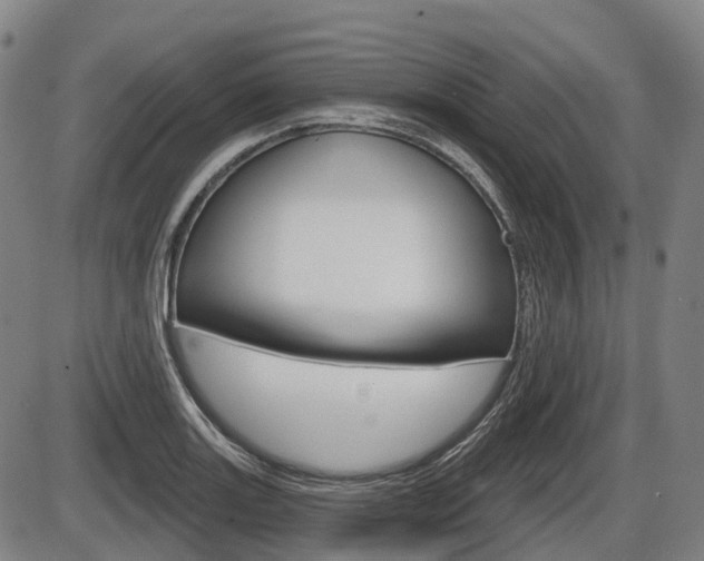 X0000086321131200703300858