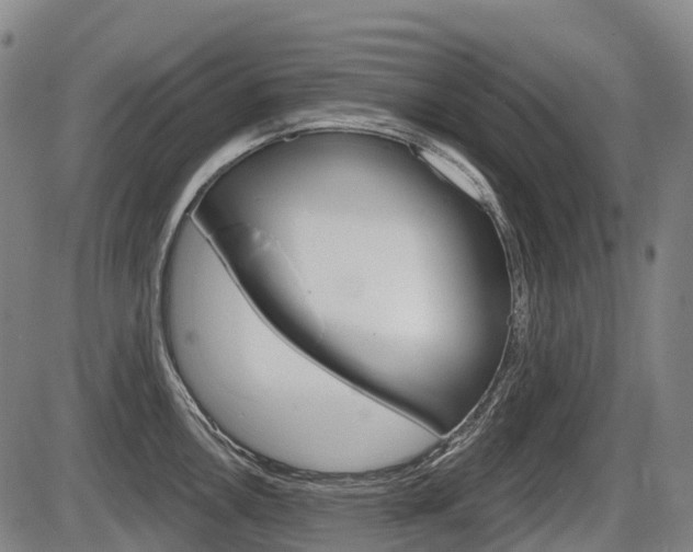 X0000086321146200703300858