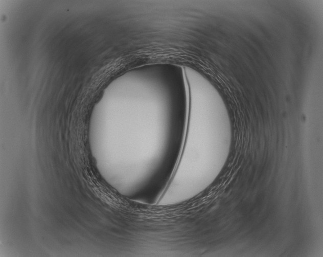 X0000086321153200703300858