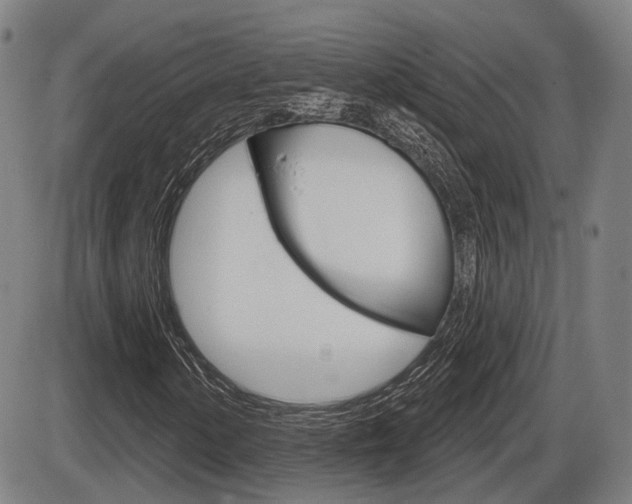 X0000086321154200703300858