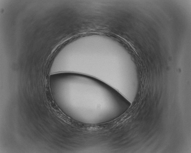 X0000086321160200703300858