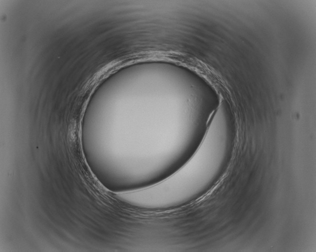 X0000086321161200703300858