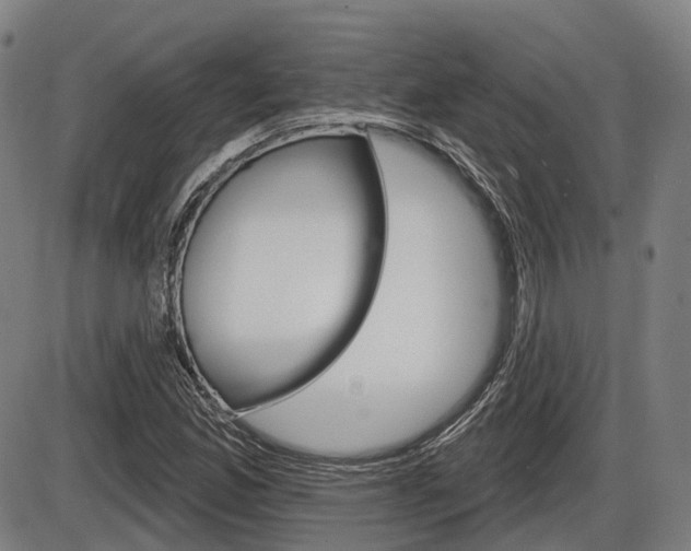 X0000086321165200703300857